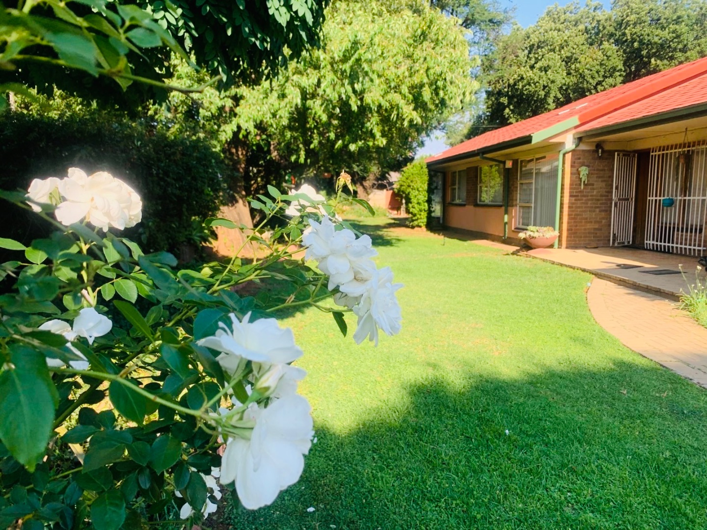 View Property Ref No: 26027