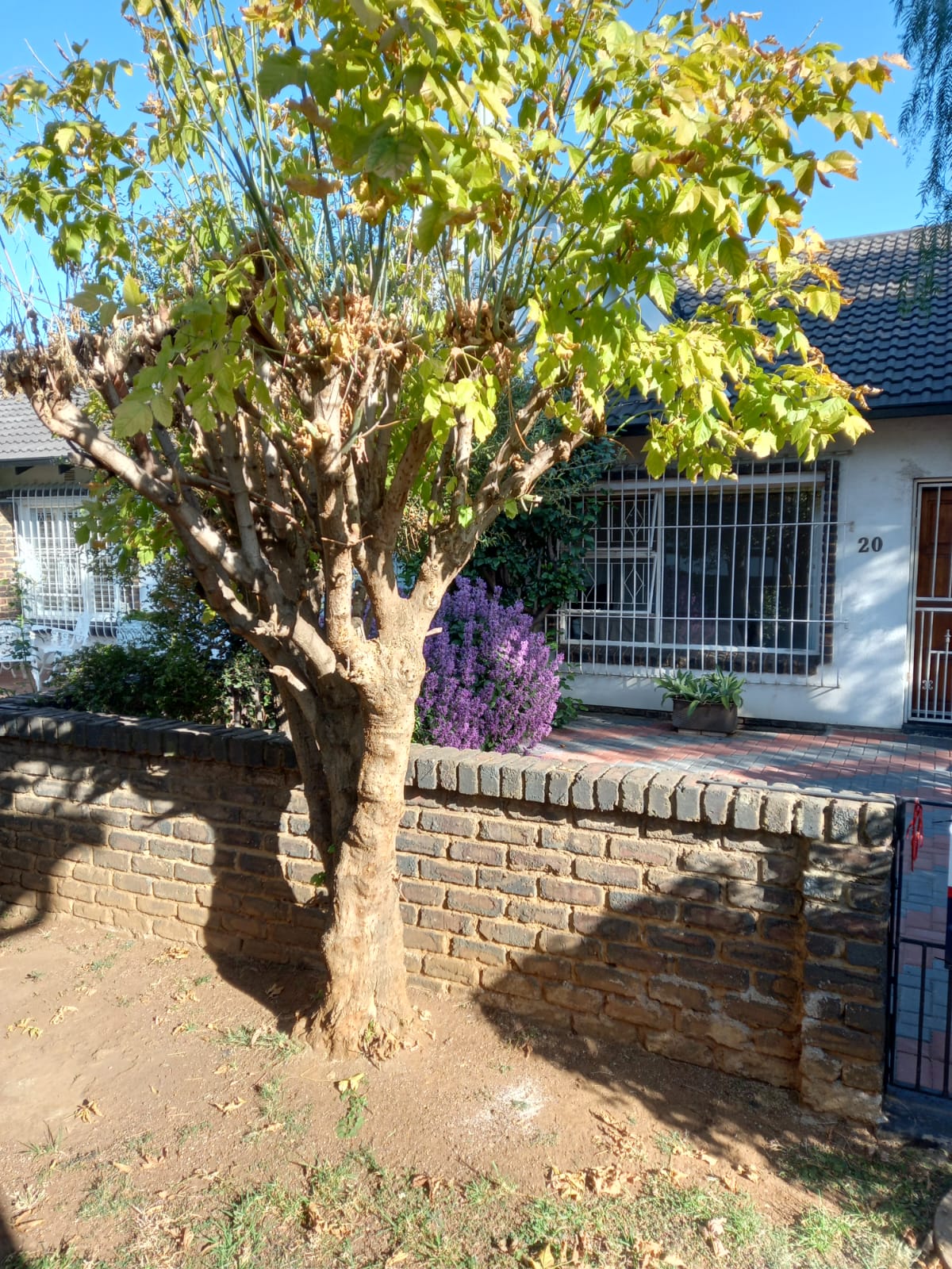 View Property Ref No: 24844